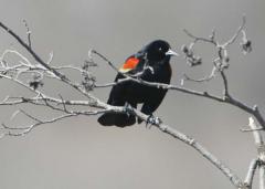 Johnna_050724_1564_.jpg 